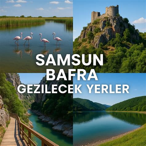 Samsun Bafra Dededagi Mahallesi terapi halı yıkama