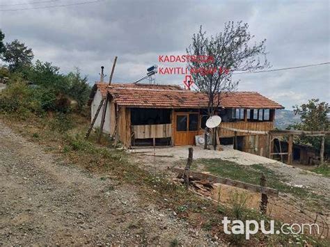 Samsun Bafra Taskopru Mahallesi terapi halı yıkama