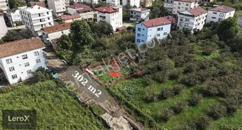 Samsun Carsamba Cay Mahallesi terapi halı yıkama