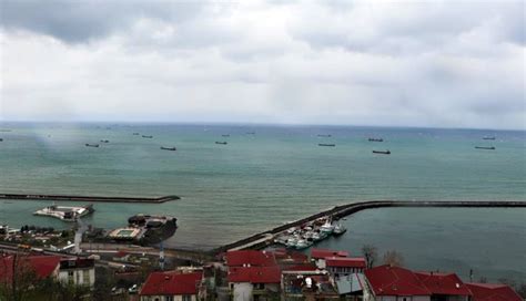 Samsun En Yakin terapi halı yıkama