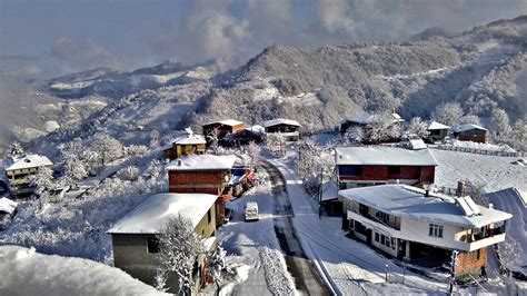Samsun Kavak terapi halı yıkama