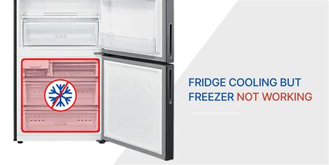 Samsung fridge not working but freezer is.  Samsung Refrigerator Freezer Not Worki...
