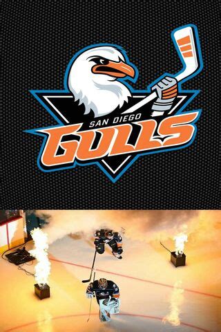 San Diego Gulls APK Download for Android 