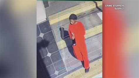 San Diego police release photo of woman suspected in MTS trolley stabbing