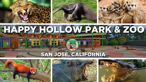 San Jose: An animal lover’s guide to hanging at Happy Hollow Park & Zoo