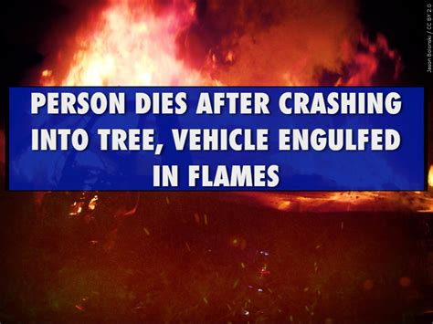 San Jose: Person dies after vehicle strikes tree, becomes ‘engulfed’ in flames