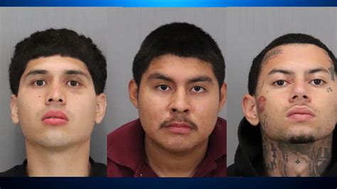 San Jose police: 12 gang members responsible for violent crimes arrested after ‘large-scale operation’