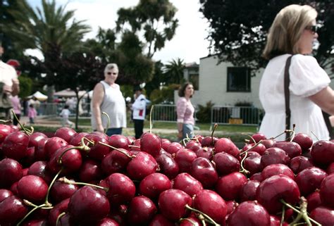 San Leandro: Cherry Festival, on hiatus since 2019, returns Saturday with parade, pie contests
