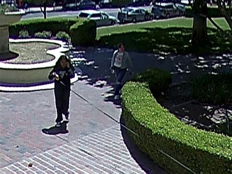 San Rafael PD releases surveillance photos of 2 women accused of stealing dog