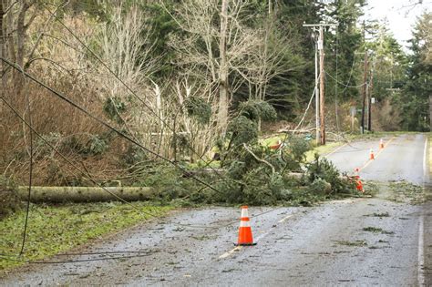 San Rafael fallen tree causes power outage, road closure Sunday night