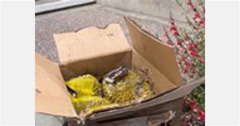 San Rafael suspicious package was rotten fruit: police