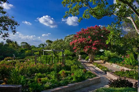 San antonio botanical gardens. The San Antonio Botanical Garden: You don't have to leave the city for a great show of bluebonnets. Wildseed Farms: This wildflower farm and vineyard in … 