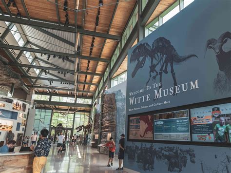 San antonio witte museum. The Witte Museum. From dinosaurs to cowboys, the 10-acre riverside campus explores the history, culture and natural science of South Texas. The museum, founded in 1926, includes petrified ... 