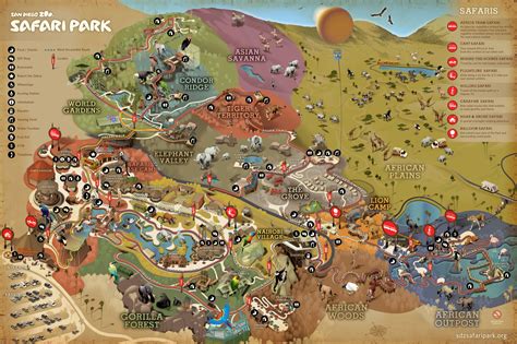 San diego zoo safari park map. Things To Know About San diego zoo safari park map. 