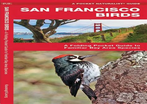 San francisco birds a folding pocket guide to familiar bay area species pocket naturalist guide series. - Beiträge zur entwicklungsgeschichtlichen betrachtung des heidelberger schlosses.