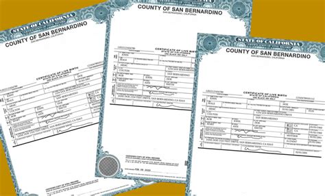 San francisco office of vital records.  Complete a separate application for eac...