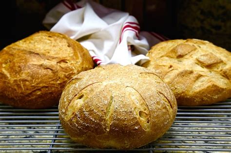 San francisco sourdough bread. Things To Know About San francisco sourdough bread. 