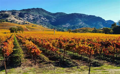 San francisco wine tours. Napa Valley. Tours. Mar 6, 2024 - Find & Book the top-rated and best-reviewed tours in Napa Valley for 2024. From prices and availability to reviews and photos, Tripadvisor has everything you need to create that perfect itinerary for your trip to Napa Valley. 