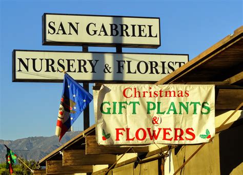 San gabriel nursery. Welcome to San Gabriel Nursery & Florist. We have have been serving Southern California for over 80 years. Founded in 1923, San Gabriel Nursery & Florist is a family-owned and operated business, specializing in the rare and hard to find. We have a two-acre retail nursery featuring a complete garden supply center and full service florist. 