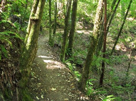 San jose hiking trails. Things To Know About San jose hiking trails. 