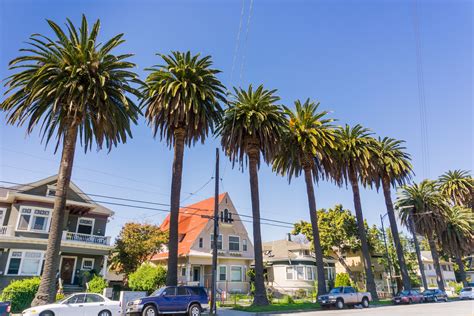 San jose property. The San Jose housing market is experiencing a robust growth, with home prices seeing a significant surge of 12.1% compared to the previous year. According to Redfin, in January 2024, the median … 