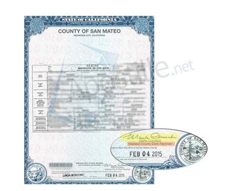 San mateo birth certificate.  birth certificate.  The San Mateo County Vit...