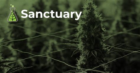 12K Followers, 1,012 Following, 899 Posts - See Instagram photos and videos from Sanctuary Medicinals (@sanctuarymedicinals) sanctuarymedicinals. Follow. Message. 901 posts; 11.7K followers; 985 following; Sanctuary Medicinals. Med/Adult Use - Gardner ... Co-located - Woburn @sanctuarycannabisnj - NJ. 