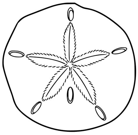 Sand Dollar Coloring Page