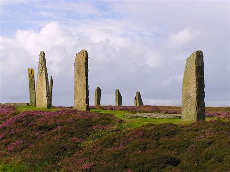 Sand Flea - Ring of Brodgar