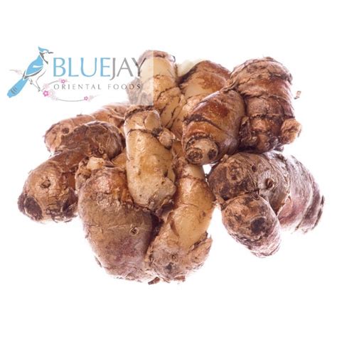 Sand ginger. What is Galangal? Galanga or galangal is a plant in the ginger family (Zingiber officinale). The galangal plant has a long history of medicinal and culinary uses. The entire plant contains many beneficial properties. But … 