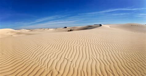 Monahans Sandhills State Park - Texas Parks and Wildlife, Monahans, Texas. 8,398 likes · 44 talking about this · 20,918 were here. An Ocean of Sand! This park is a historical & geological marvel,.... 