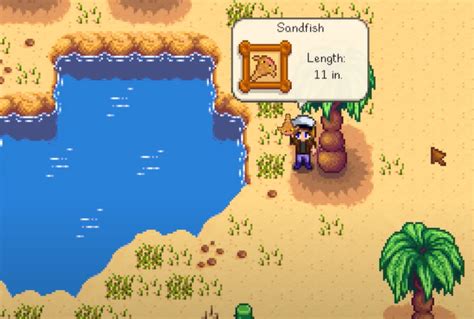 Sandfish stardew valley. Sandfish is one of the easier fish to catch in Stardew Valley, so relax and enjoy the desert views while you wait for a bite! What to Do With Your Sandfish Sandfish can be sold or used in various ways around your farm in Stardew Valley: Sell for money Sandfish sells for a base price of 75g each to Willy at the fish shop or in your shipping bin ... 