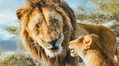 💋 Sandra Mufasa Onlyfans Leak [SEX VIDEO]