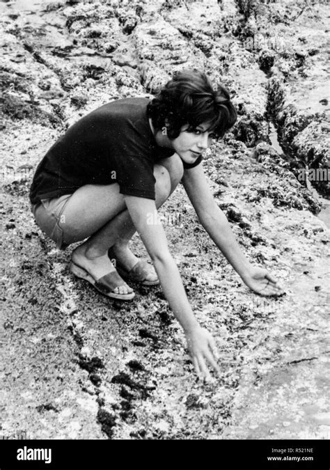 Sandrelli stefania nude pics. .  <a href=https://www.forster-buchhaltung.at/vx9vgp...