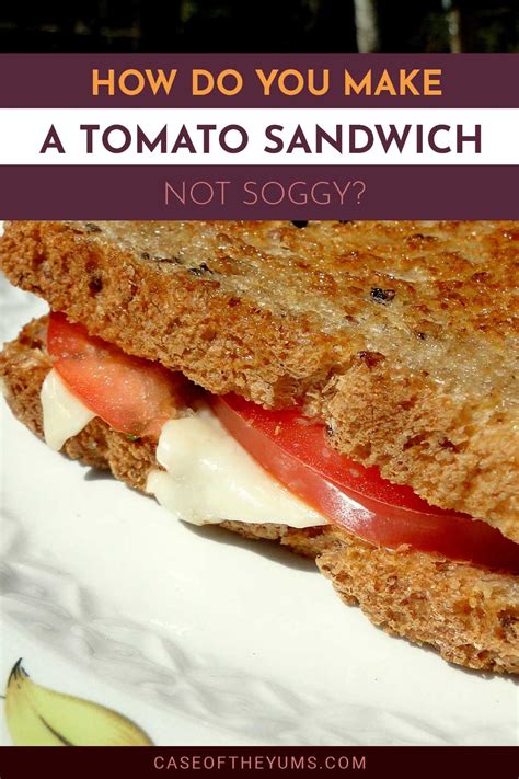 Sandwitch Onlyfans Leak