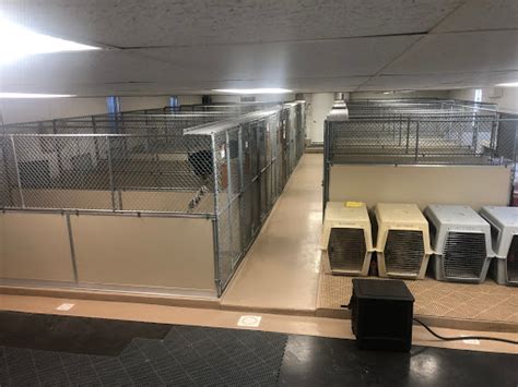 Sandy pines boarding kennel inc. SANDY PINES BOARDING KENNEL, INC: Location: ESSEX JUNCTION, VT 05452: NAICS Code [Industry] 812910 [Pet Care (except Veterinary) Services] Business Type: Corporation: 