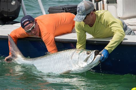 Sanibel Fishing - Fishing, Charters, Tarpon