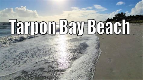 Sanibel Island - Tarpon Bay Beach Walking Tour 2024 - YouTube