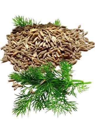 Sanoot leaves. #GinveraWorldSpa #BalineseShowerScrub #LemongrassFrangipani #ExfoliatingBodyWa...