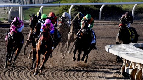 Santa Anita to install artificial training track as part of $31 million in renovations