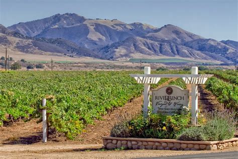 Santa Barbara Private Premium Winery Visits and Tastings 2024