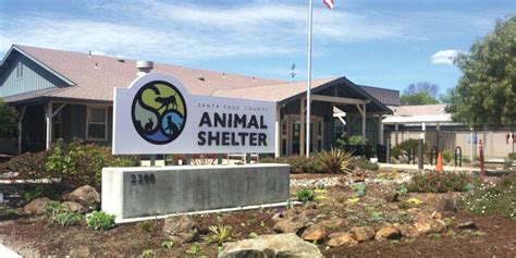 Santa Cruz County Animal Shelter waiving, discounting fees through July 8