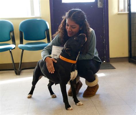 Santa clara animal shelter. Pet Adoption - Search dogs or cats near you. Adopt a Pet Today. Pictures of dogs and cats who need a home. Search by breed, age, size and color. Adopt a dog, Adopt a cat. 