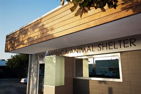 Santa monica animal shelter. The Santa Monica Animal Control Section provides numerous services to the community, including the investigation of complaints regarding animals and the operation of a full-service animal shelter serving the City of Santa Monica. Both section headquarters and the shelter are located at 1640-9th Street, Santa Monica, CA 90404. 