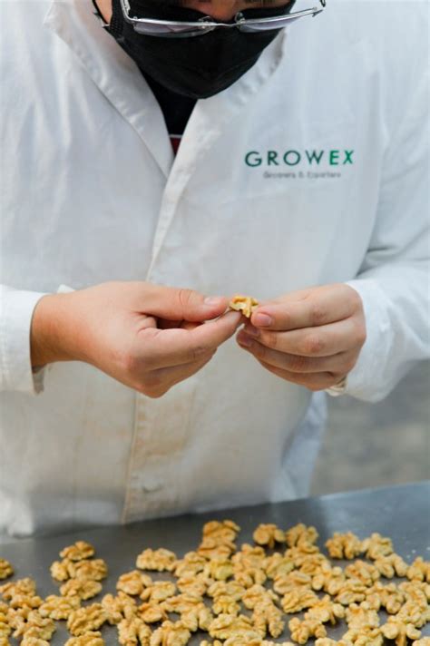 Santiago Allende on LinkedIn: #growex #walnuts #justquality #chile