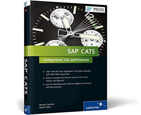 Sap cats cross application timesheets comprehensive guide. - Cost of bronze medallion work and life saving manual.