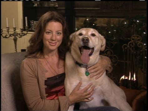 By David Gianatasio on Jan 30 2023 - 10:00am. Sarah McLachlan heads for the mountains to spoof her animal rights PSAs in a Busch Light Super Bowl commercial. McLachlan's cloyingly heartfelt ASPCA ads became staples of late-night TV in the 2000s (and they still pop up from time to time). Well-intentioned but oft-maligned, they feature her sad .... 