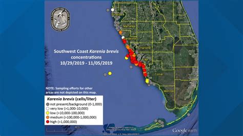 Sarasota red tide forecast. March 10, 2023 · 3 min read. Dead fish killed by red tide continue to wash ashore in Sarasota and Manatee counties, fouling some of the region's most popular beaches during peak tourism season. This weekend gusty winds are expected to cause some risk of respiratory irritation at local beaches and continue to blow dead marine animals and foul ... 