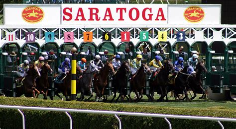Saratoga Race Course Entries & Results: 8/25/2023 Jump To Race Number: 1 | 2 | 3 | 4 | 5 | 6 | 7 | 8 | 9 | 10. 