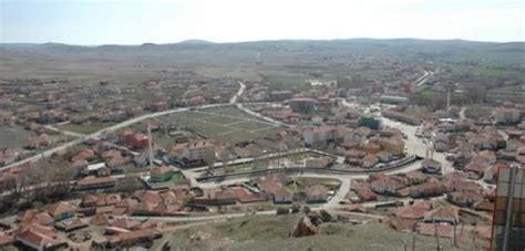 Saraykent Halı ve Koltuk Yıkama